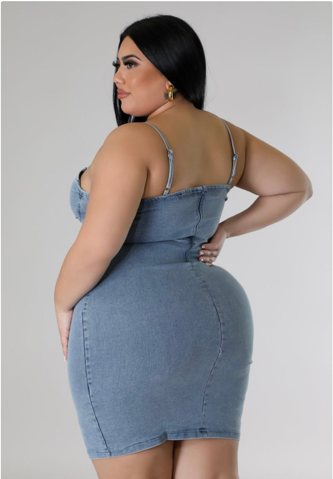 Denim Fitted Dress Plus